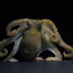 99ca3b00c3cf41ab9d09ba44aeabd5f4