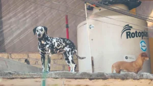 b84ad18408f4452da6fa004240b77874