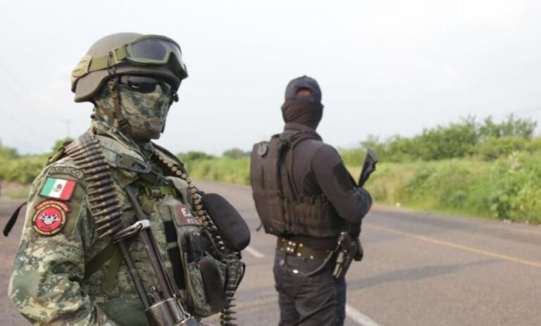 c452f60355594b9080c7e653b06ace14