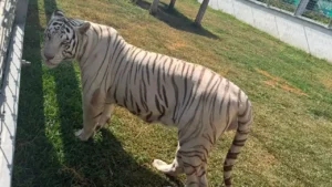 853d9fee3d0b43a9be70adad821dbe7d